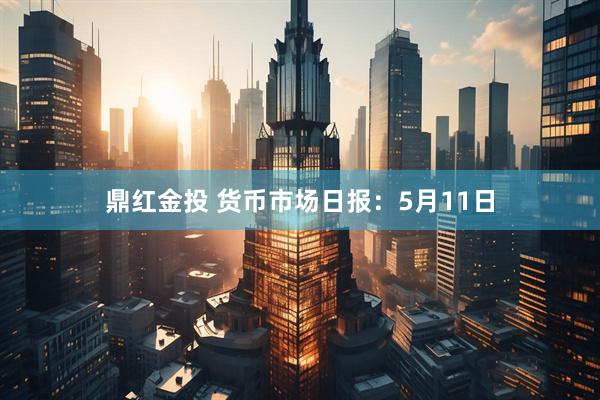 鼎红金投 货币市场日报：5月11日